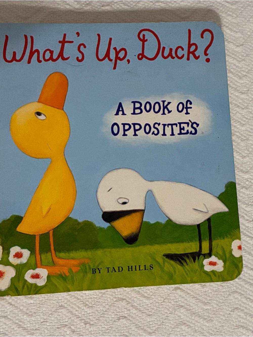 What's Up, Duck? A Book of Opposites Board Book